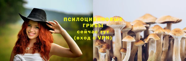 ГАЛЛЮЦИНОГЕННЫЕ ГРИБЫ Бикин