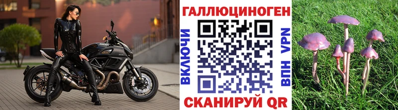 KRAKEN ссылки  Кемь  Псилоцибиновые грибы мицелий  как найти закладки 